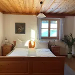 Apartment Gaiswinkler *