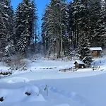 Apartment Gaiswinkler