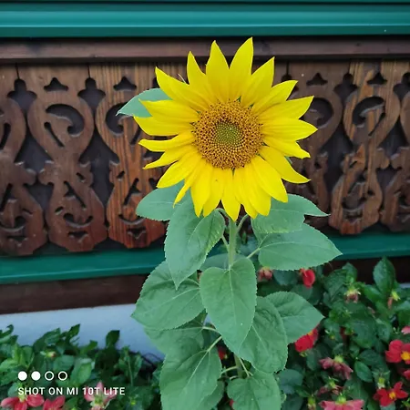 Gaiswinkler Apartment Grundlsee