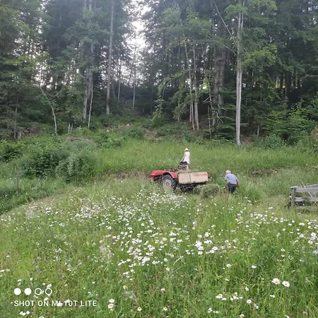 Appartement Gaiswinkler Grundlsee