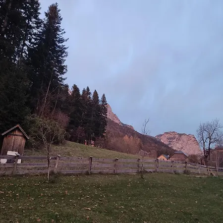 Gaiswinkler Appartement *