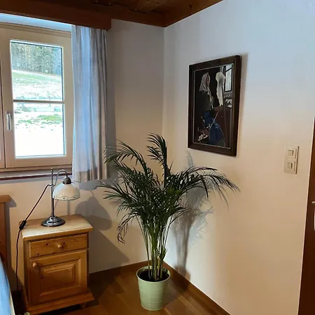 Gaiswinkler Appartement Grundlsee