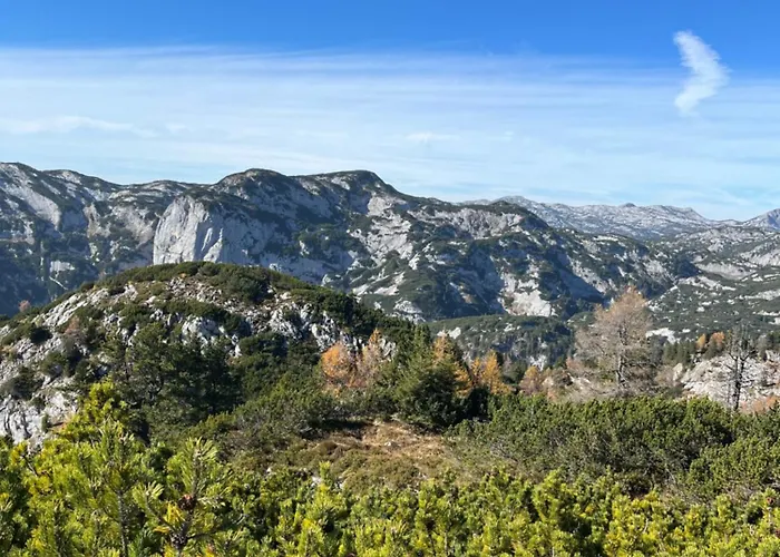 公寓 Gaiswinkler 格伦德尔湖