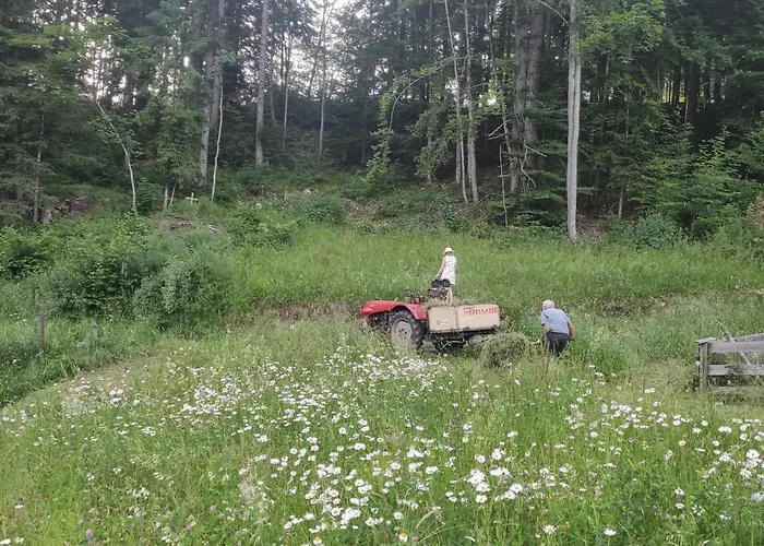 公寓 Gaiswinkler 格伦德尔湖