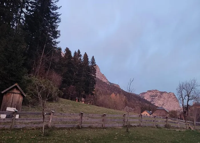 Gaiswinkler 公寓 *